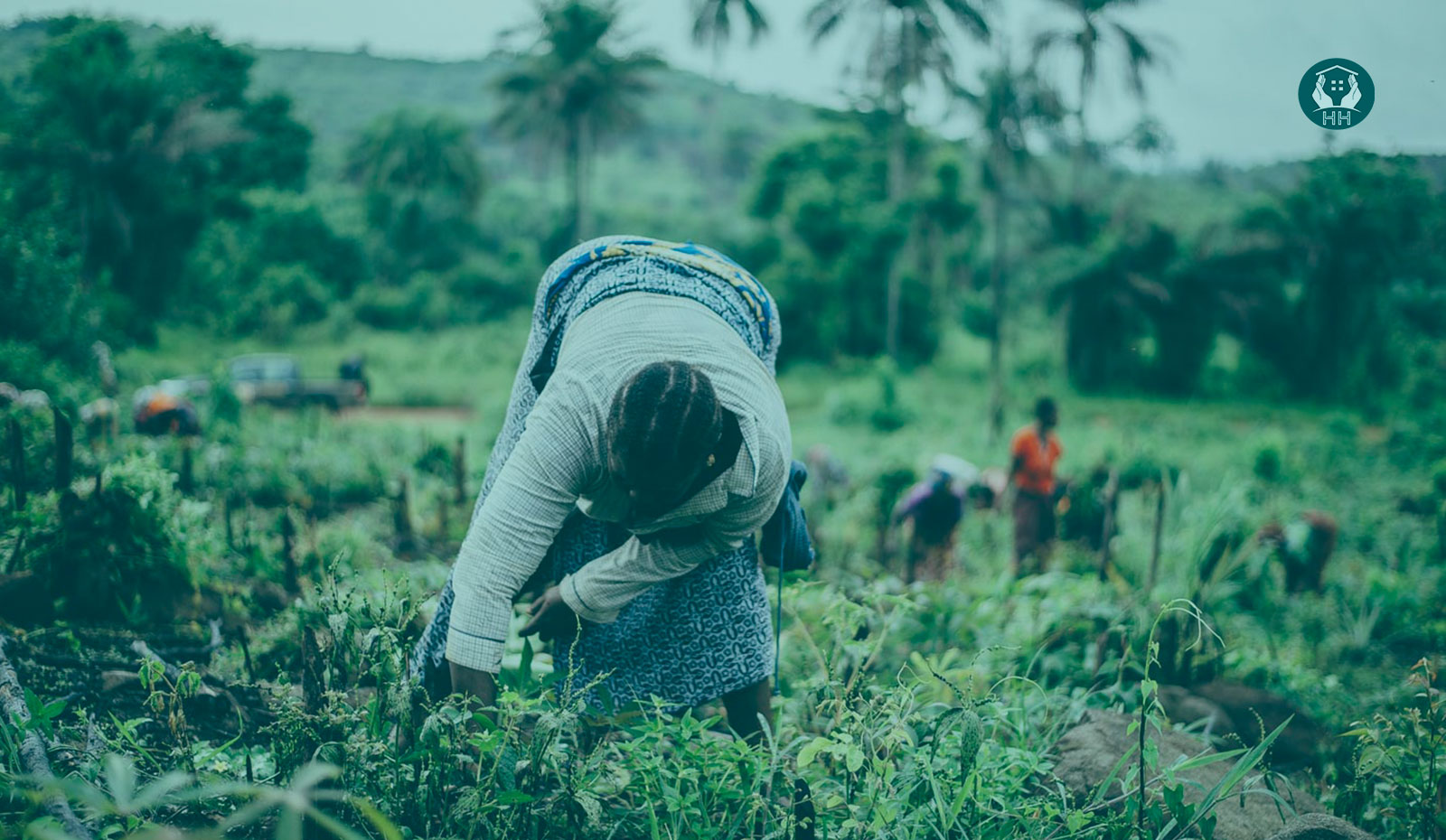 Coopératives agricoles